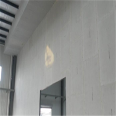 新干宁波ALC板|EPS加气板隔墙与混凝土整浇联接的实验研讨